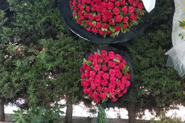 Karizma Düğün Salonu - Düğün Salonu - Balıkesir Karesi