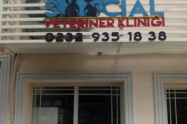 Social Veteriner Kliniği - Acil Durum Veterinerlik Hizmeti - İzmir Buca