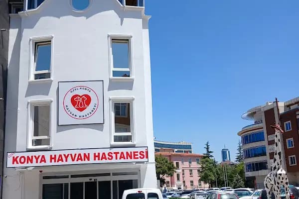 Özel Konya Hayvan Hastanesi - Hastane - Konya Selçuklu