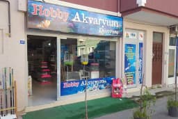 Hobby Akvaryum