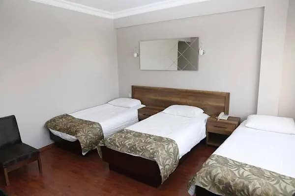 Altınel Ankara Hotel & Convention Center - Otel - Ankara Altındağ