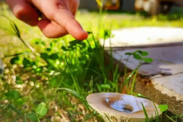 Ant Çocuk Akademi Adana Anaokulu ve Kreş - Anaokulu - Adana Pozantı