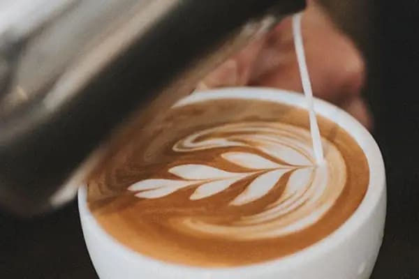Cocorita Coffee Roastery - Kahve dükkanı - Gaziantep Şahinbey
