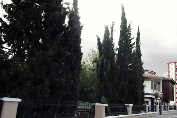 Özel Çocuk Bahçesi Anaokulu &amp; Kindergarden - Anaokulu - İstanbul Sarıyer