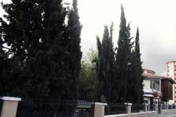 Özel Çocuk Bahçesi Anaokulu &amp; Kindergarden