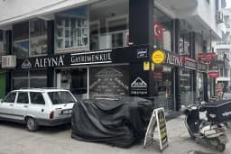 Aleyna Gayrimenkul