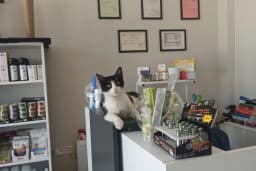 Genpet Veteriner Kliniği Selçuklu Konya