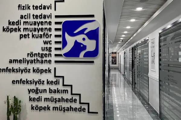 Özel Bursa Hayvan Hastanesi acil nöbetçi 7/24 veteriner - Hayvan Hastanesi - Bursa Büyükorhan