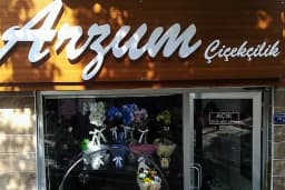 Gemlik Çiçekçi - Arzum Çiçekçilik