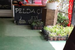 Pelda çiçekçilik