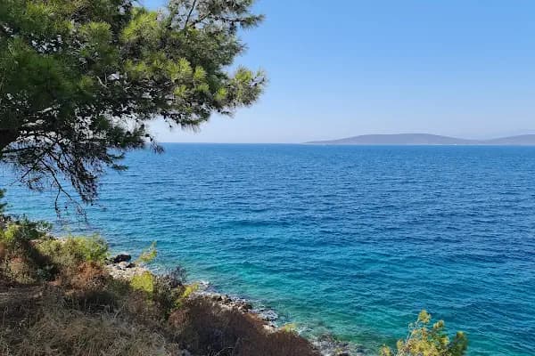Eskici Bodrum - Bar - Muğla Bodrum