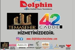 Dolphin kuru temizleme Tema Şehir