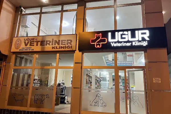 KARS, UĞUR PET VETERİNER KLİNİĞİ - Veteriner - Kars Kağızman