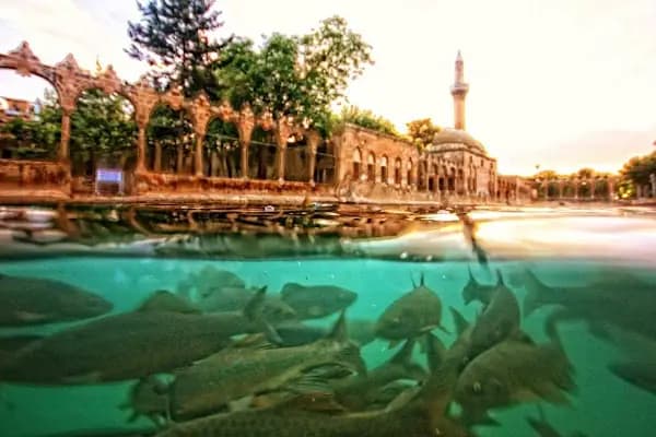 Balıklıgöl - Tarihi Yer - Şanlıurfa Bozova