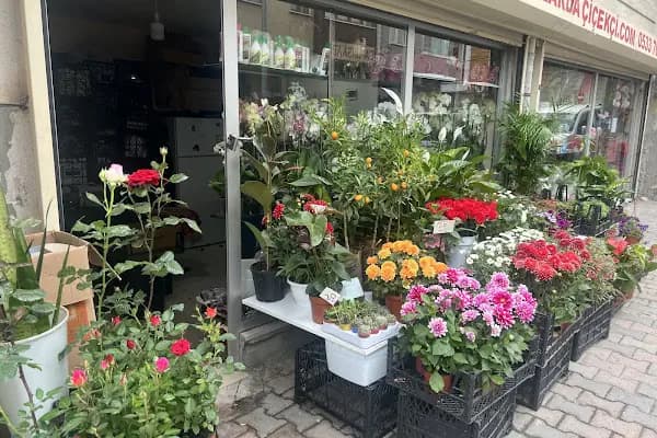 Yılmaz Çiçekçilik - Çiçekçi - İstanbul Pendik
