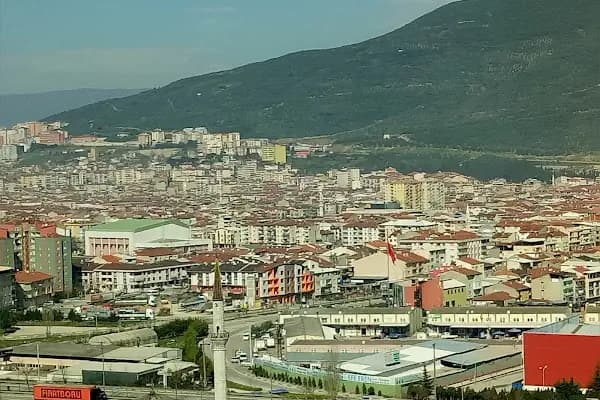 Solive Zeytin - Sağlıklı Yiyecek Mağazası - Bursa Orhangazi