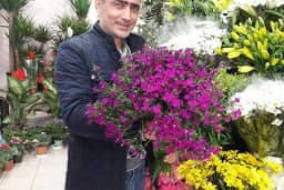 Nilgül Çiçekçilik