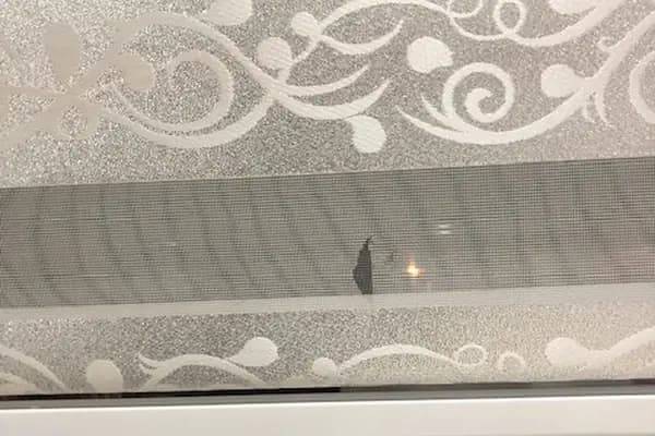 Denizli Dryden Kuru Temizleme ve Halı Yıkama ŞİRKETİ - Kuru Temizlemeci - Denizli Merkezefendi