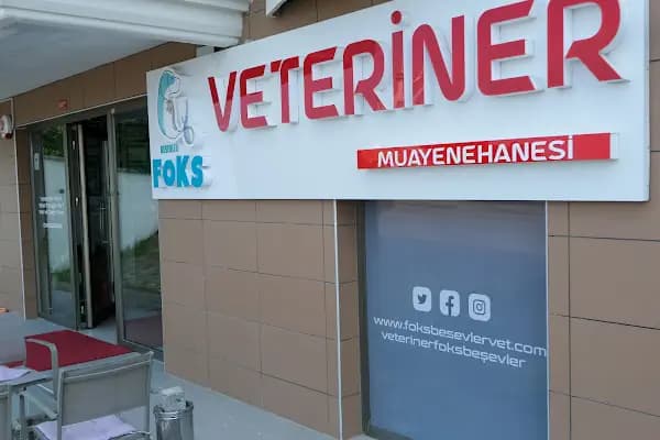 FOKS BEŞEVLER VETERİNER KLİNİĞİ - Veteriner - Bursa Nilüfer