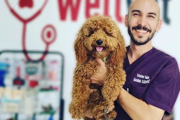 WellVet Veteriner Sağlık Merkezi - Veteriner - Denizli Merkezefendi