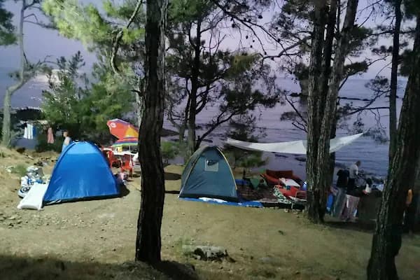 Pullu 1 Tabiat Parkı - Milli Park - Mersin Bozyazı