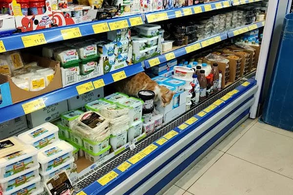 A•101 - Süpermarket - İzmir Buca