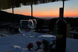 Suva Winery