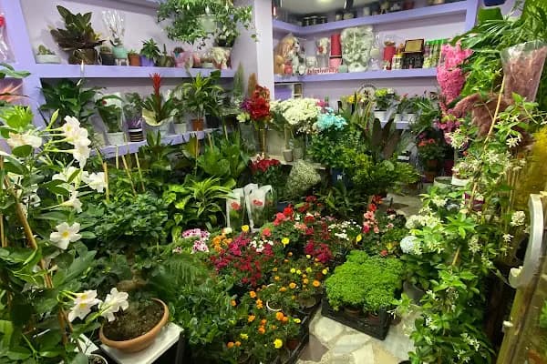 Avcılar çiçek/ Lal Flower - Çiçekçi - İstanbul Avcılar