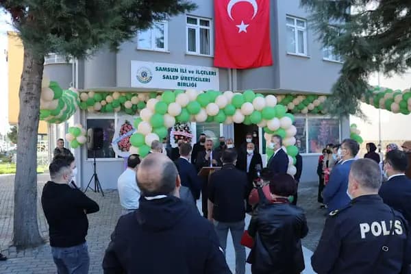 Samsun İli ve İlçeleri Salep Üreticileri Birliği - Tarım Sektörü Derneği - Samsun Havza