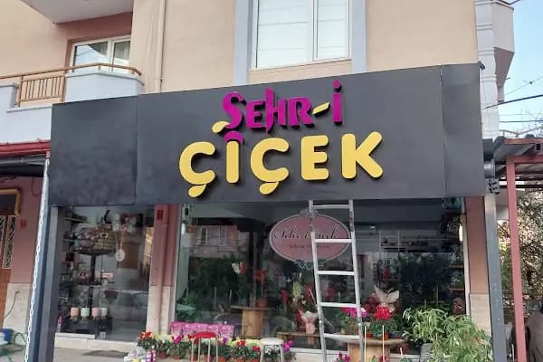 Şehr-i Çiçek - Çiçekçi - Balıkesir Altıeylül