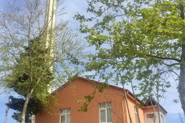 19 Mayıs Fatih Sultan Mehmet Cami - Cami - Samsun Canik
