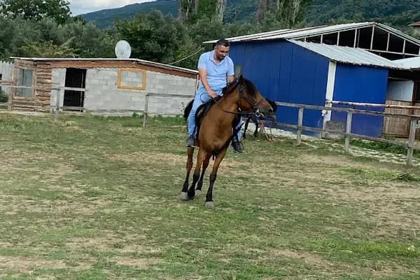 Gemiç At Çiftliği - At Binme Hizmeti - Bursa Orhangazi