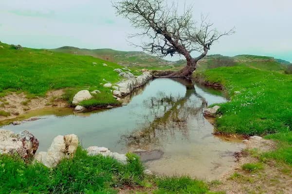 MARDİN Artuklu cevizlik köyü kanigürya - Kamp Alanı - Mardin Artuklu