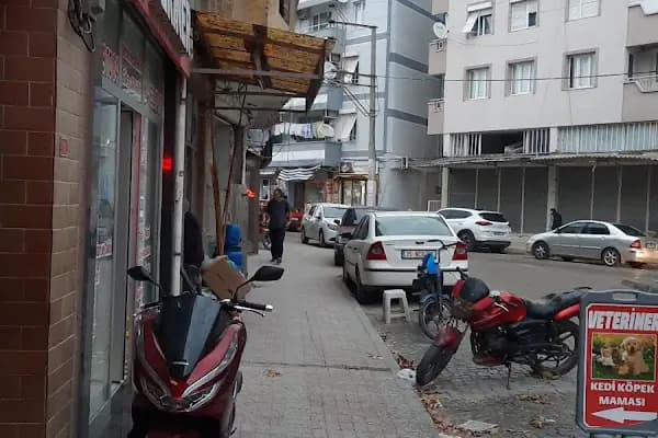 Haşere İlaçlama Servisi Aliağa - Haşere İlaçlama Hizmeti - İzmir Bergama