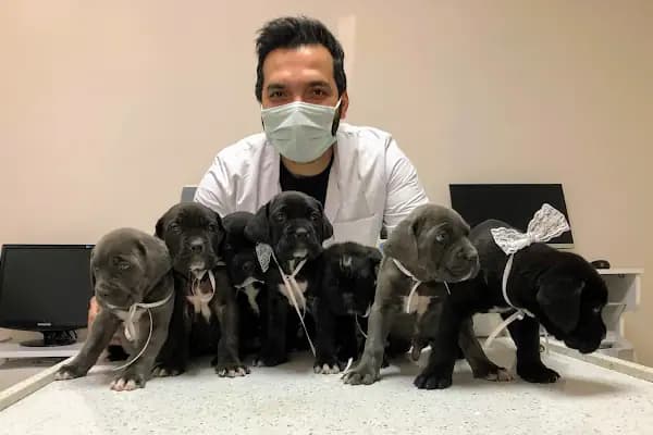 Akhisar Anka Veteriner Kliniği - Pet Kuaför - Veteriner - Manisa Akhisar