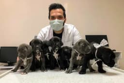 Akhisar Anka Veteriner Kliniği - Pet Kuaför