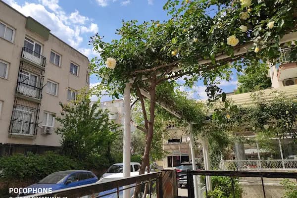 Özel Aysun Ak İngilizce Bornova Merkez Şube Yabancı Dil Kursu - Eğitim Merkezi - İzmir Bayraklı