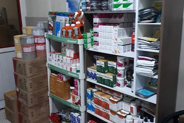 Spil Veteriner Kliniği - Veteriner - Manisa Demirci