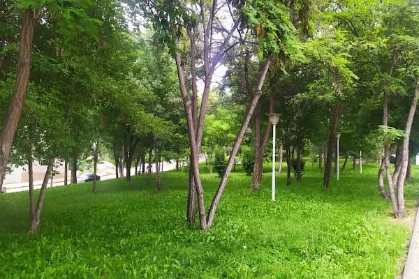 Şehit Özgür Coşkun Parkı - Milli Park - Ankara Yenimahalle