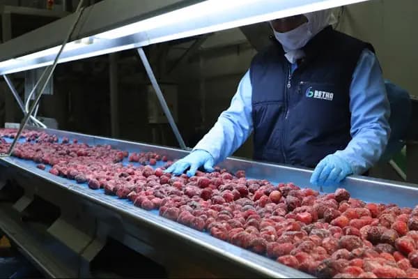 Betka Gıda - Betka Fresh - Dondurulmuş Gıda Üreticisi - Bursa İnegöl