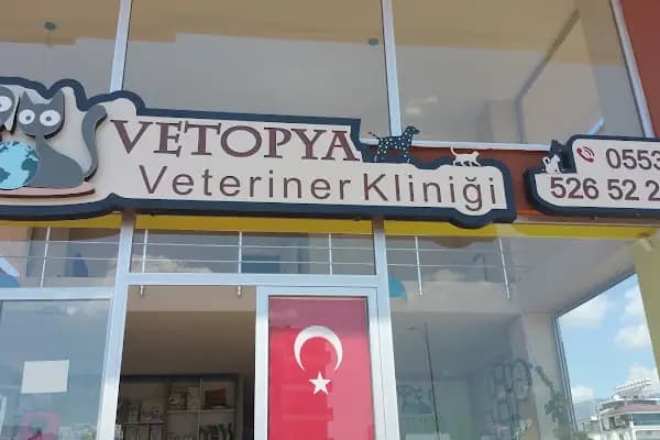 Vetopya Veteriner Kliniği - Veteriner - Antalya Döşemealtı