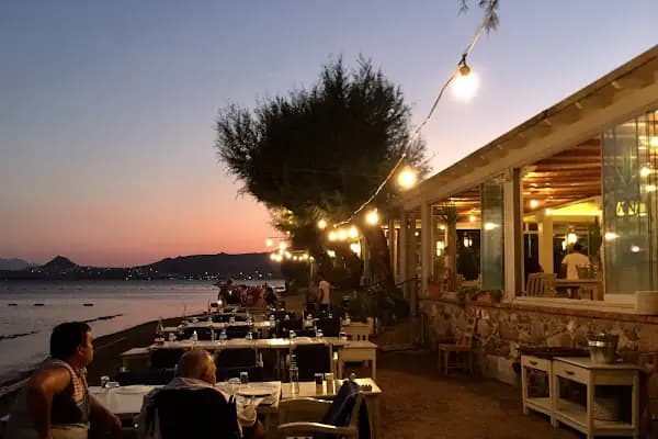Ayana Balık Restaurant - Balık Restoranı - Muğla Bodrum