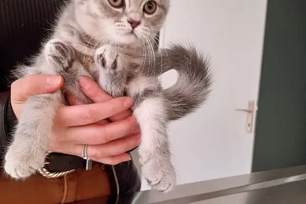Çerkezkoy Petlife Veteriner Kliniği - Veteriner - Tekirdağ Çerkezköy