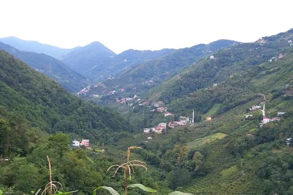 Akçaabat - Yerleşim Yeri - Trabzon Akçaabat