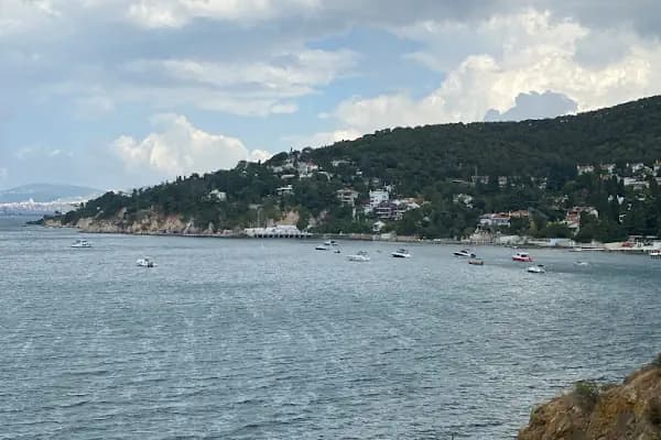 Büyükada Kültür Ve Yardımlaşma Dern. - Dernek veya Kuruluş - İstanbul Adalar