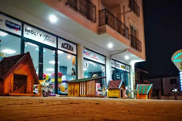 Tropical Petshop 2 - Evcil hayvan mağazası - Sakarya Serdivan