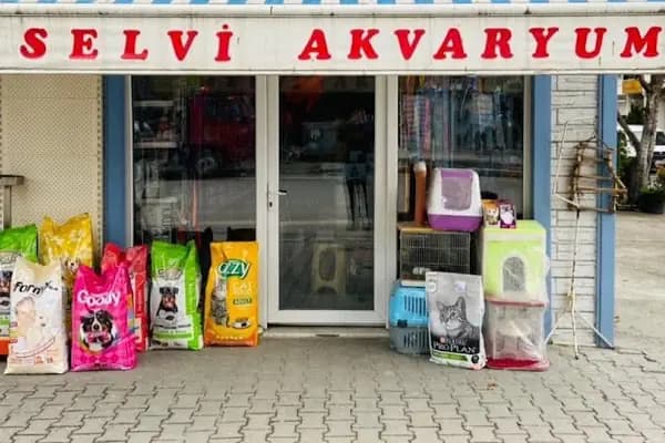 Selvi Pet Shop - Evcil hayvan mağazası - Sakarya Arifiye