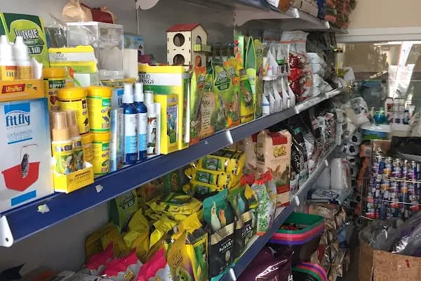 Petshop - Evcil hayvan mağazası - İstanbul Bakırköy