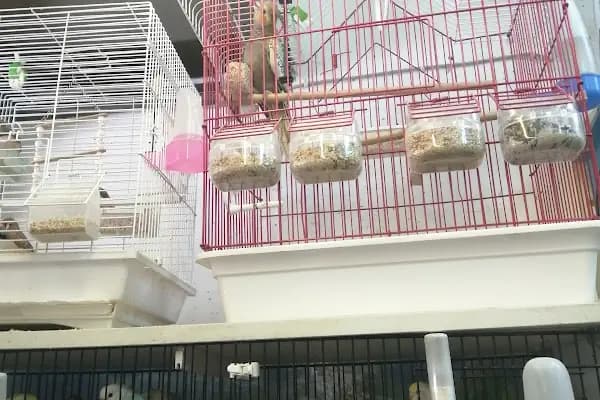 Neşeli Pet Shop - Evcil hayvan mağazası - Muğla Bodrum