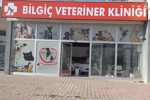 BİLGİÇ VETERİNER KLİNİĞİ - Veteriner - Konya Akşehir